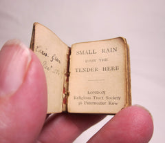 Small Rain Upon the Tender Herb