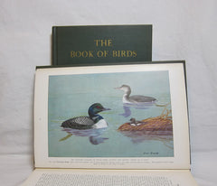 The Book of Birds: The First Work Presenting in Full Color All the Major Species of the United States and Canada, Volumes I and II